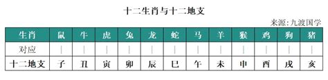 己巳年1989|1989年属什么生肖 1989年是什么生肖年